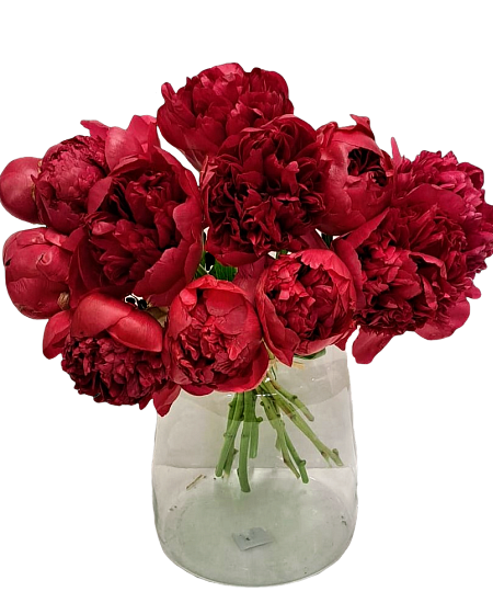 Red Peonies